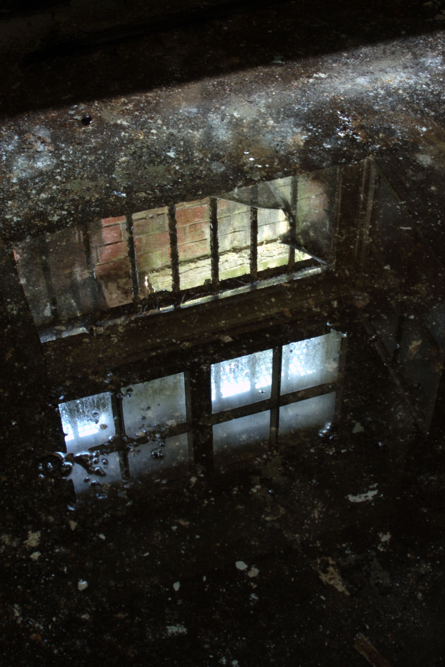DSC_3763