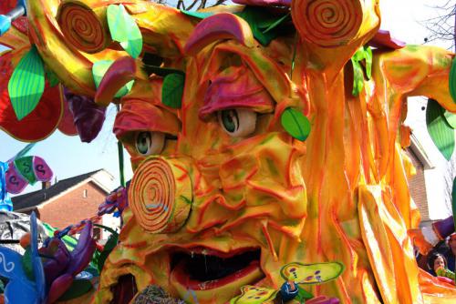 Twentse Carnaval Optocht 2015
